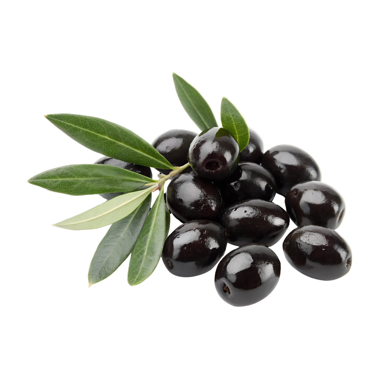 Nature Life Ege Siyah Zeytin