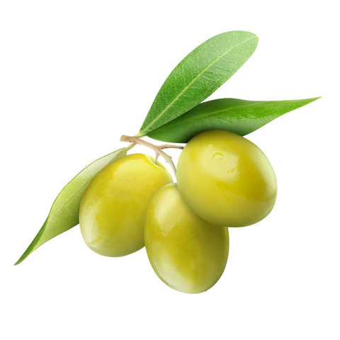 Nature Life Ege Yeşil Zeytin