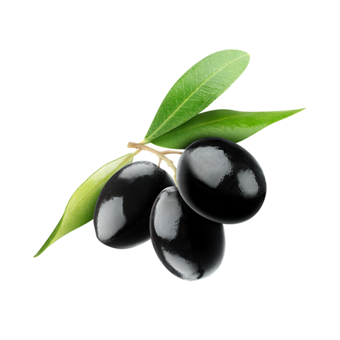 siyah zeytin